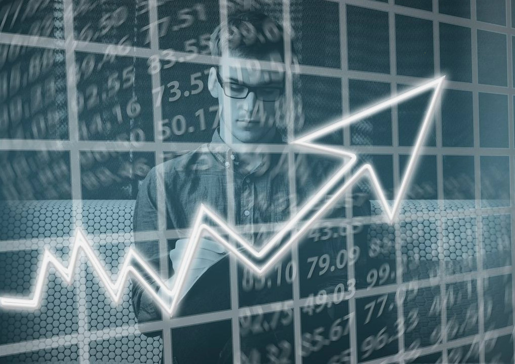 Loan Management System